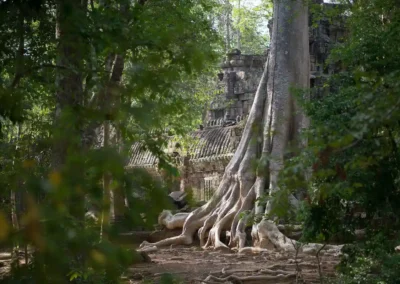 Angkor Off Road Tour