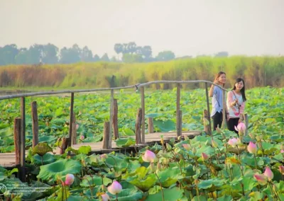 Countryside Bicycle Tour / Half Day