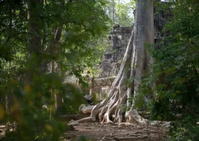 Angkor Off Road Tour + Sunrise