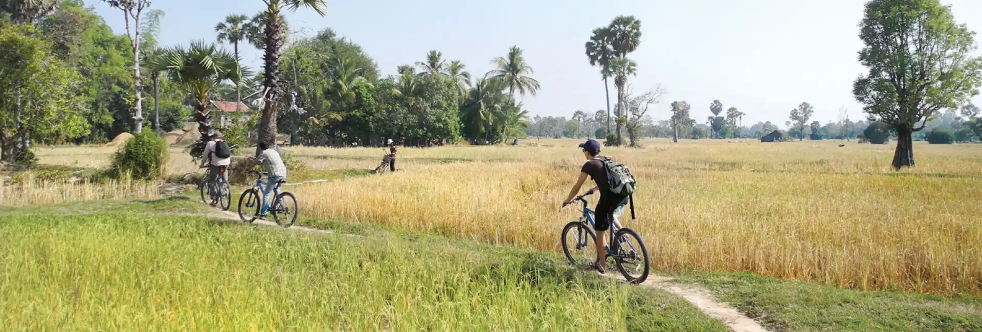 Beautiful land in Siem Reap  Beautiful land in Siem Reap